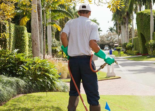 About Fort Rock OR Pest Control Pros
